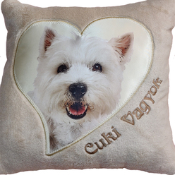 West Highland White Terrier 