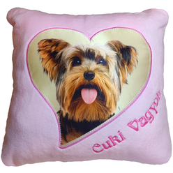 Yorkshire terrier 