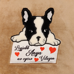 Francia bulldog legjobb..