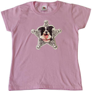 Border Collie csillagban